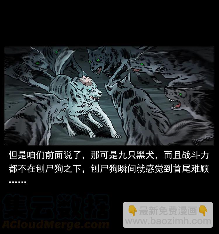 幽冥詭匠 - 251 刨屍狗遇險(2/2) - 1