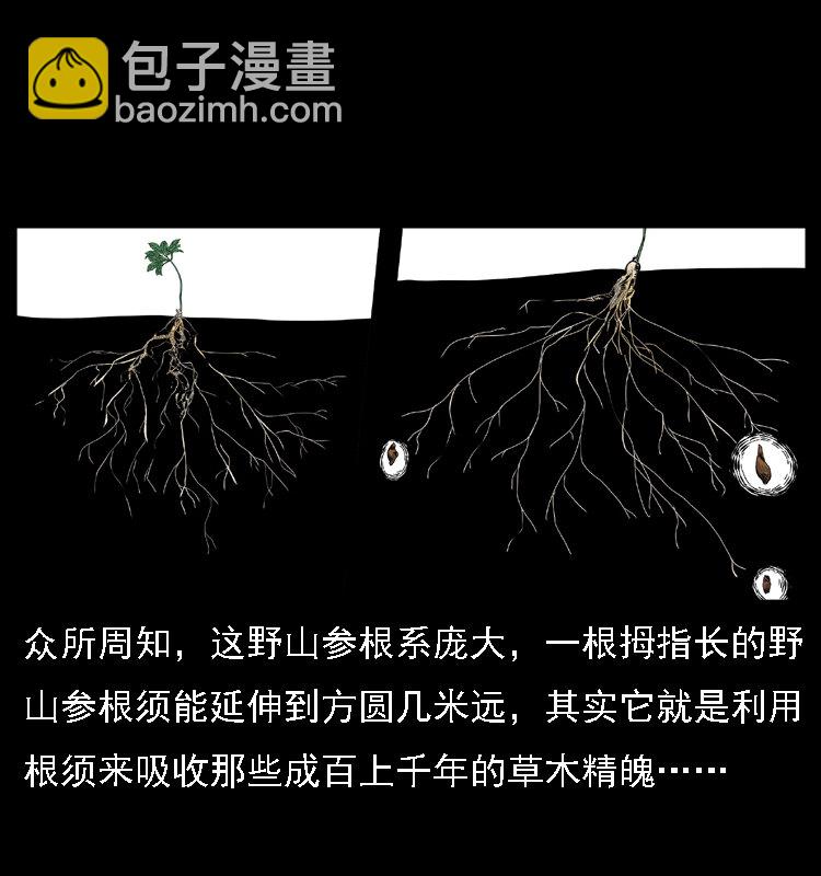 幽冥詭匠 - 027 劉瞎子憋寶(1/2) - 6