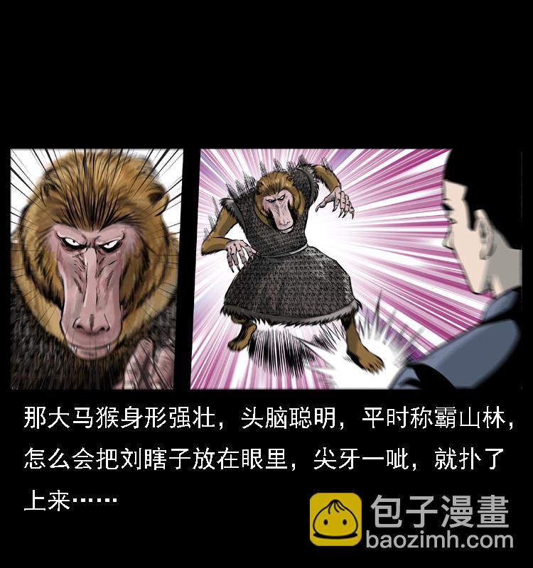 幽冥詭匠 - 027 劉瞎子憋寶(1/2) - 6