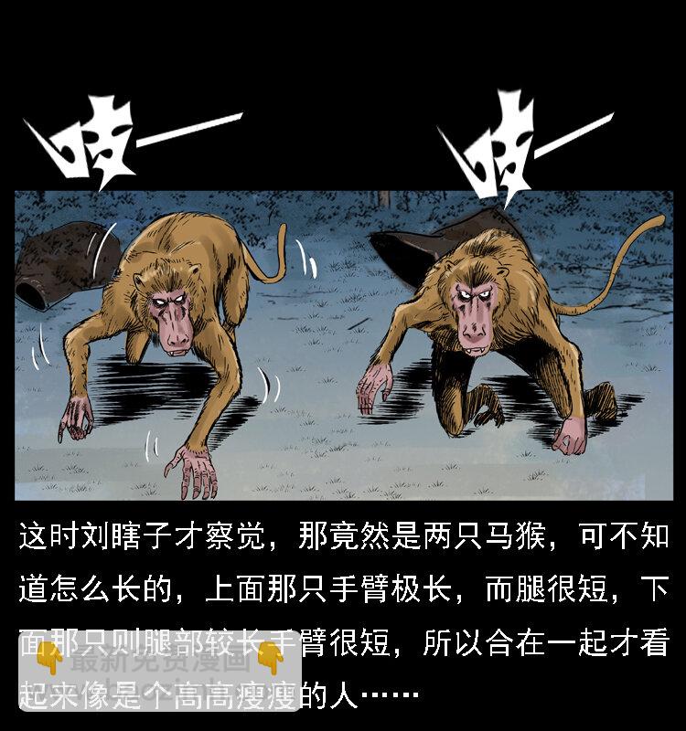 幽冥詭匠 - 027 劉瞎子憋寶(1/2) - 4