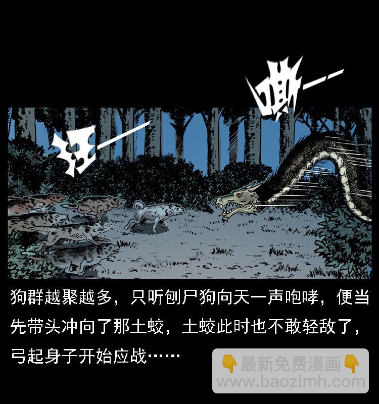 幽冥詭匠 - 029 鬥土蛟(2/2) - 5