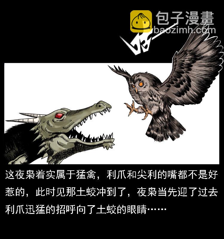 幽冥詭匠 - 029 鬥土蛟(2/2) - 3