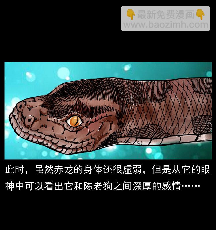 幽冥詭匠 - 031 鬥土蛟3(1/2) - 8