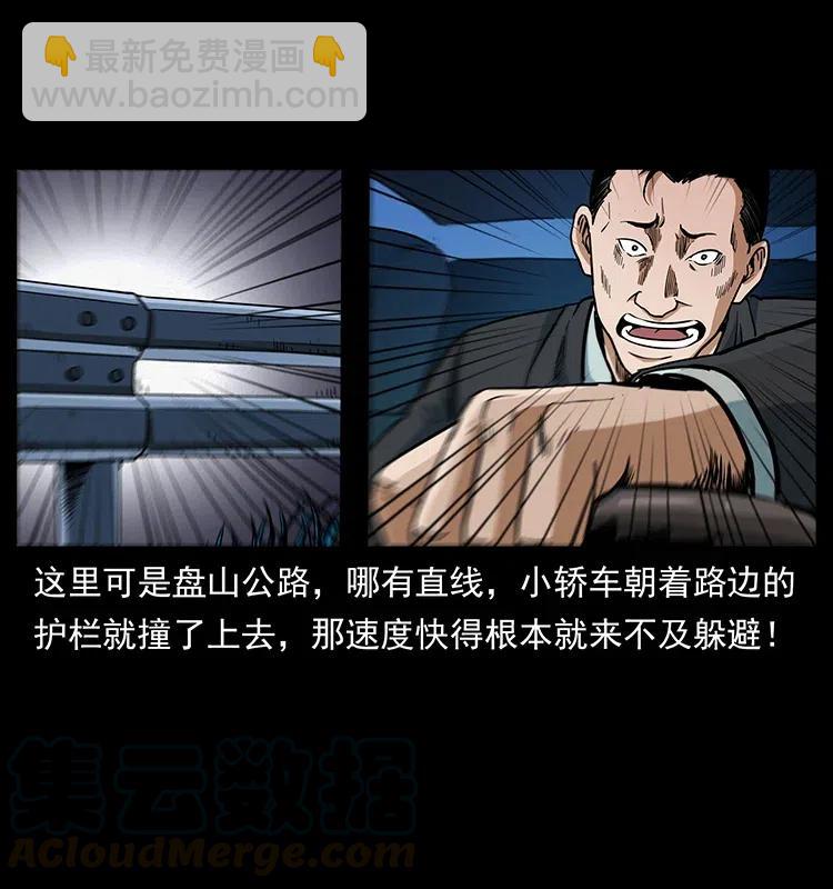 幽冥詭匠 - 311 一窩生幾個？(1/2) - 5