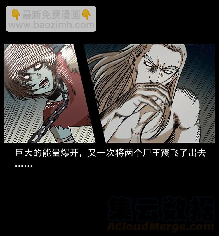 幽冥詭匠 - 331 樊家屍王經(1/2) - 5