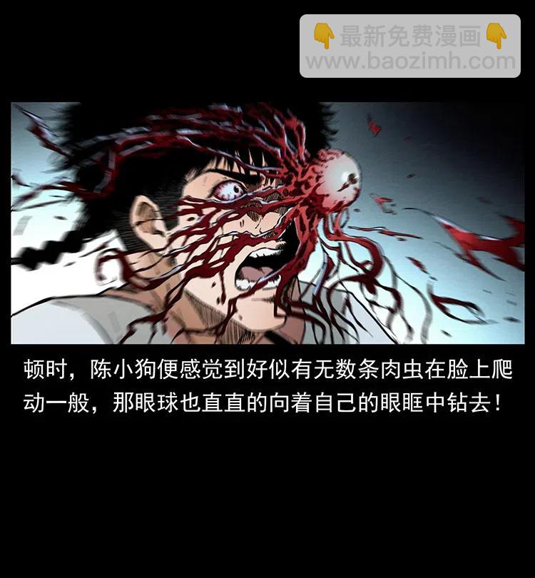 幽冥詭匠 - 377 屍眼(2/2) - 6