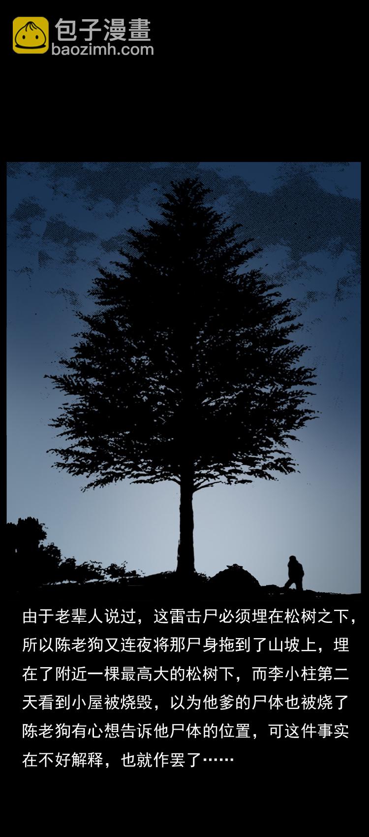 幽冥詭匠 - 041 雷擊屍2(2/2) - 3