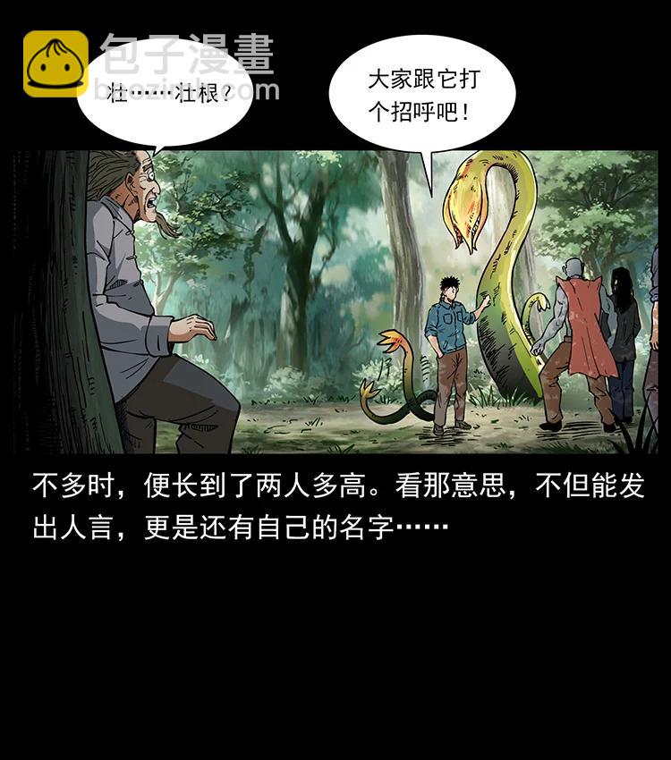 幽冥詭匠 - 391 散仙(1/2) - 6