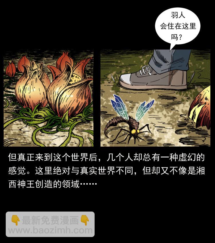 幽冥詭匠 - 441 羽人之境(1/2) - 3