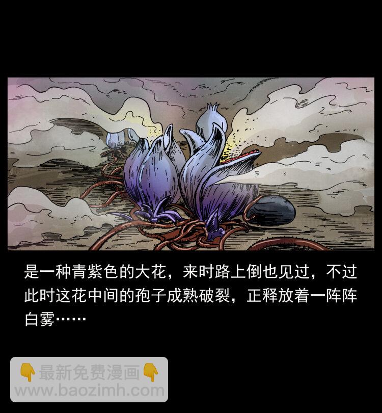 幽冥詭匠 - 441 羽人之境(2/2) - 3