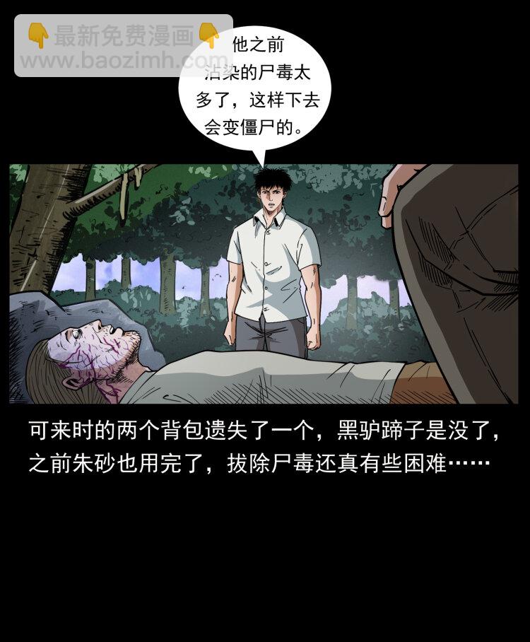 幽冥詭匠 - 441 羽人之境(2/2) - 3