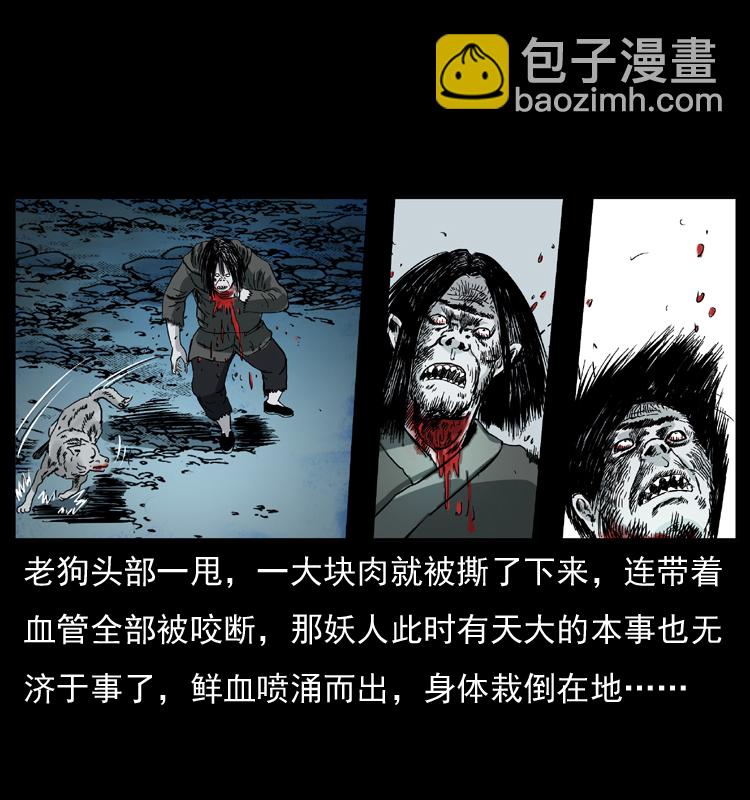 幽冥詭匠 - 048 刨屍狗傳奇1(2/2) - 4