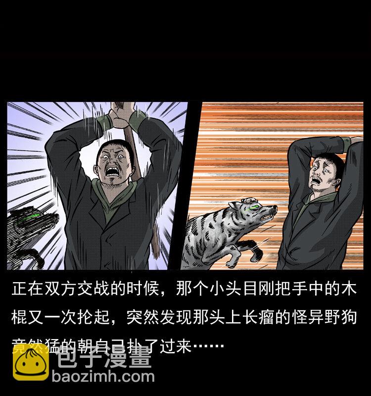 幽冥詭匠 - 050 刨屍狗傳奇3(1/2) - 3