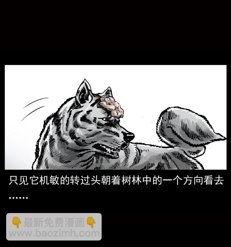 幽冥詭匠 - 050 刨屍狗傳奇3(1/2) - 6