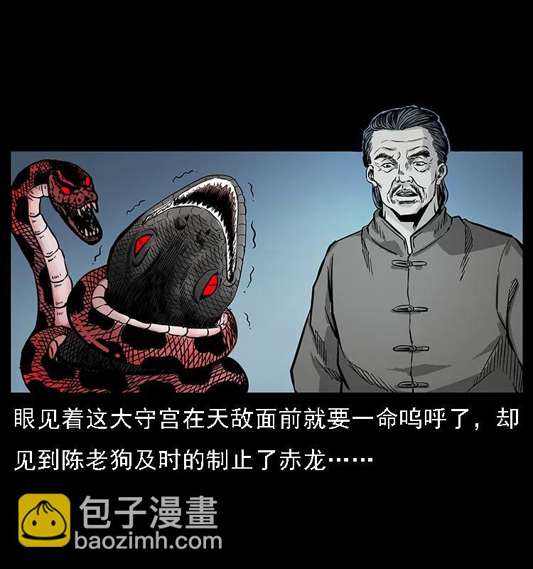 幽冥詭匠 - 076 守宮 - 5