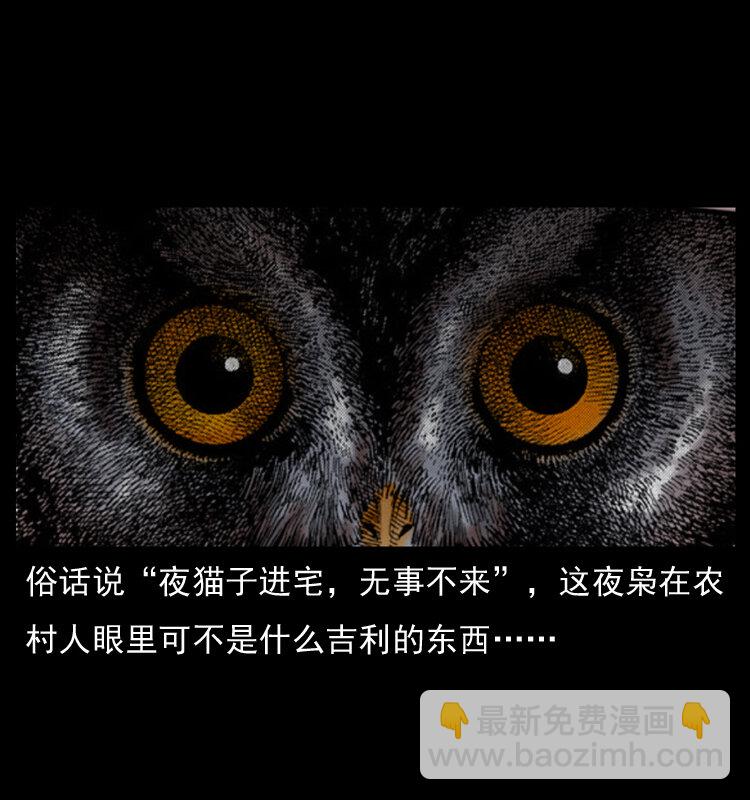 幽冥詭匠 - 009 劉瞎子(2/2) - 4