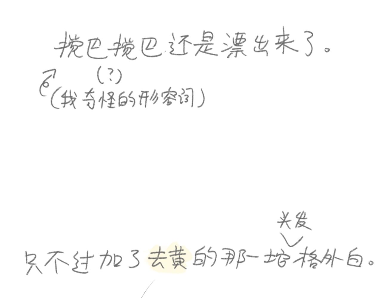 自己漂发要慎重-第13话