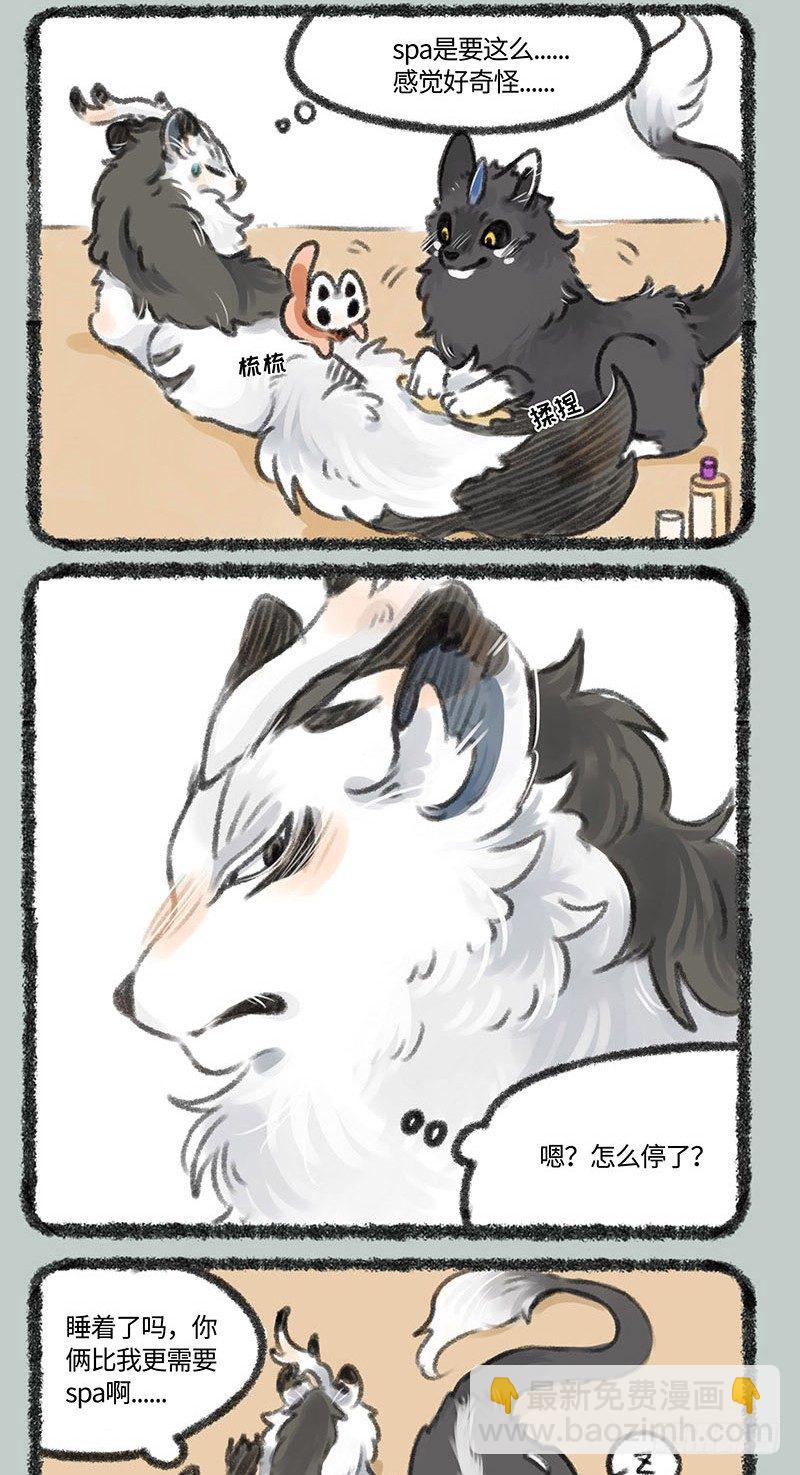 4.jpg