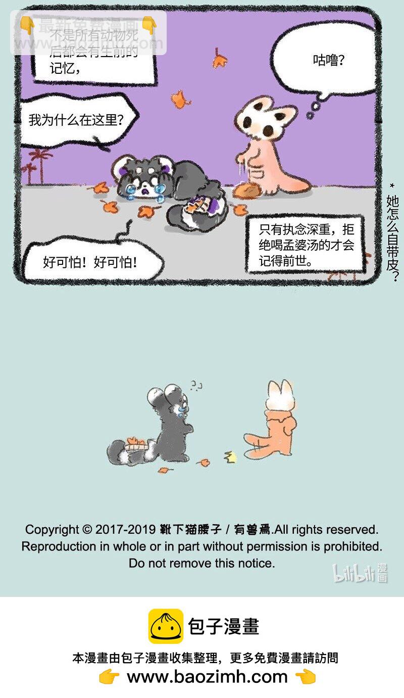 有兽焉 - 257 骷髅猫的熟人 - 1