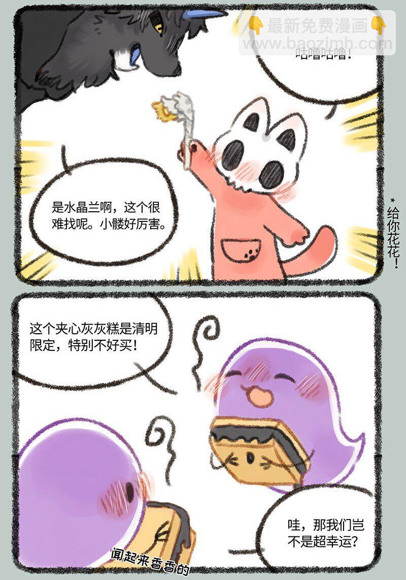 6.jpg