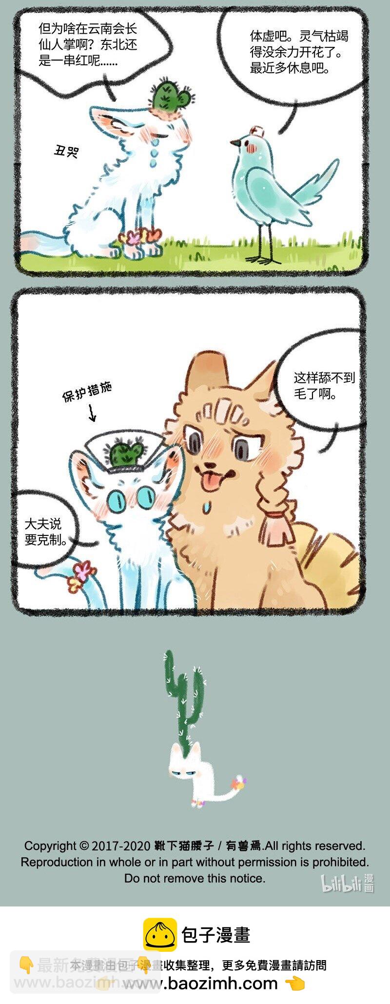 6.jpg
