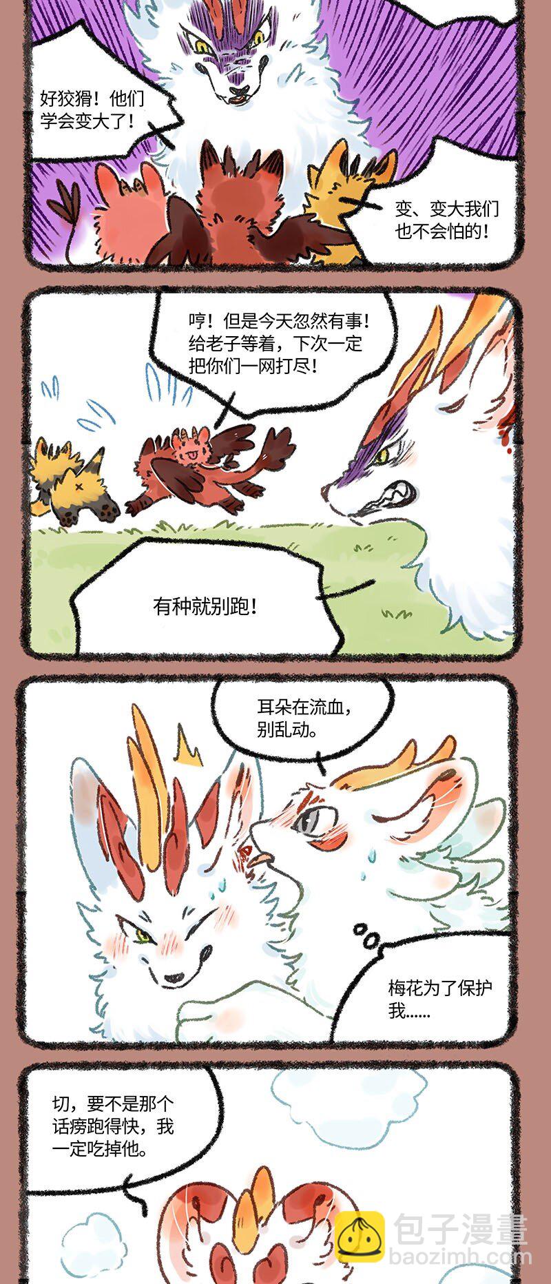 5.jpg