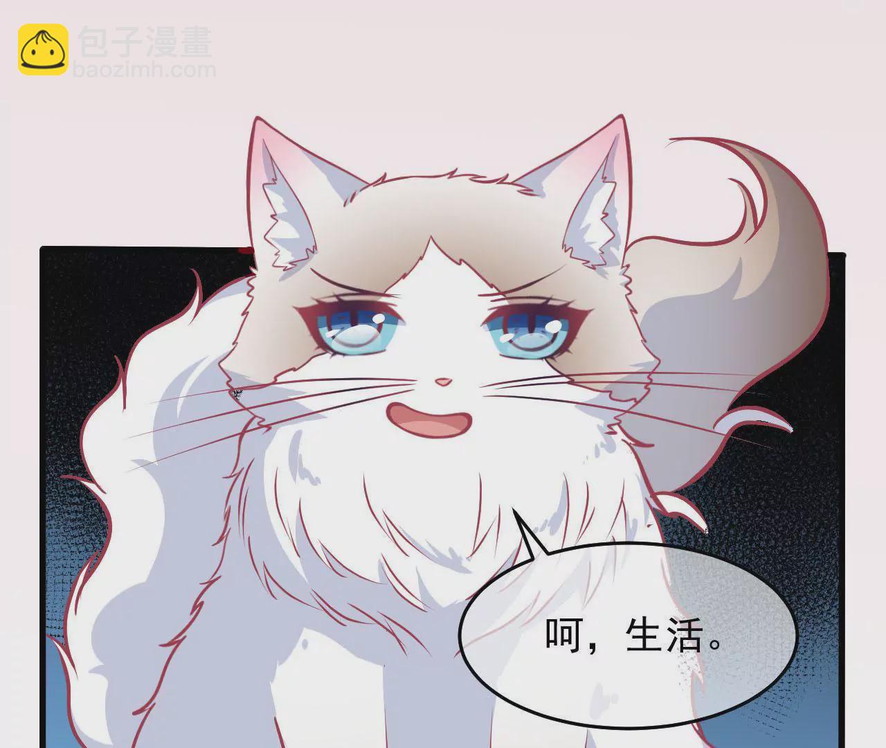 第72话 十年的记忆礼盒(1/2)-第73话