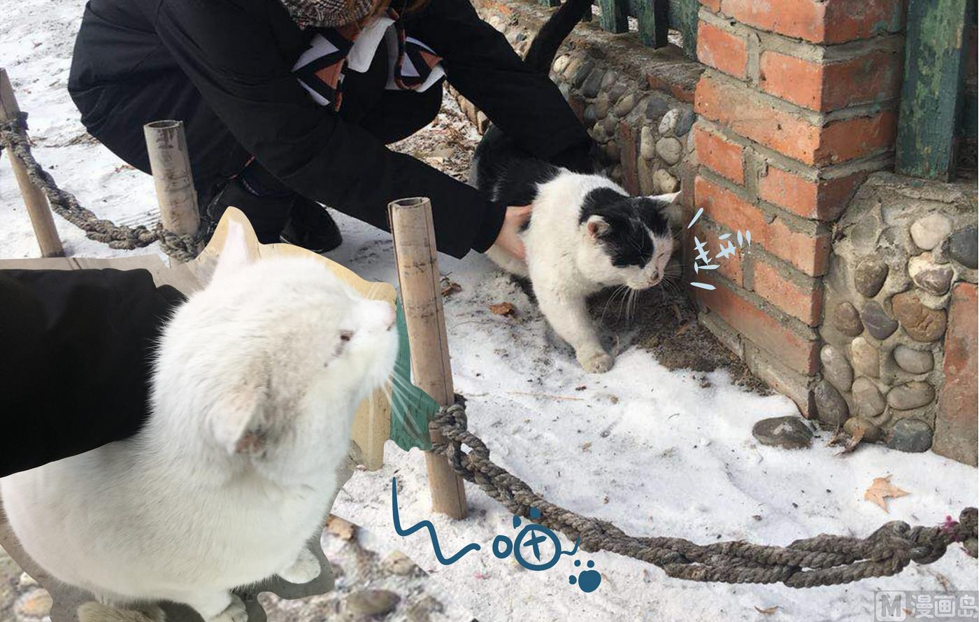 第148话 瑟瑟发抖雪之旅4-第149话