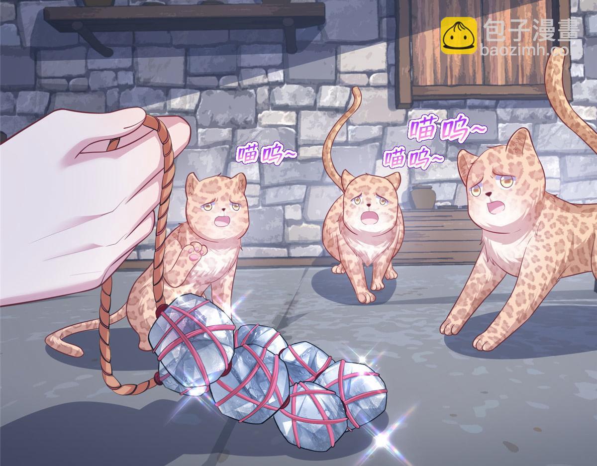 悠哉獸世：種種田，生生崽 - 435(3/3) - 2