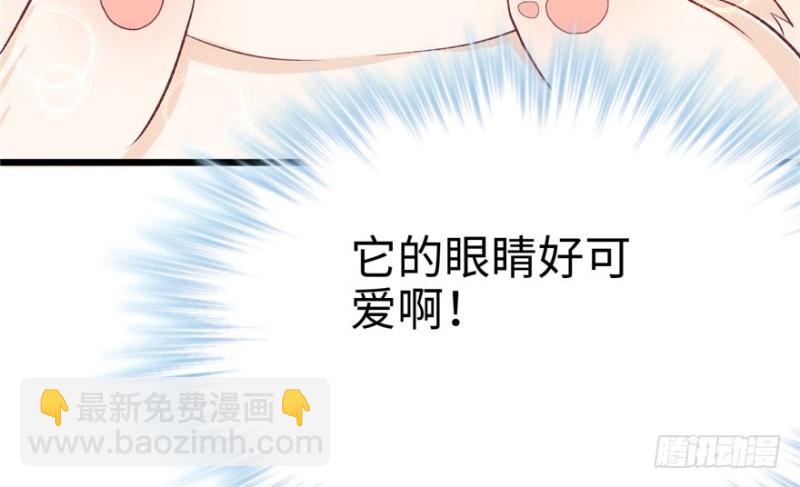 悠哉獸世：種種田，生生崽 - 第71話(1/2) - 5