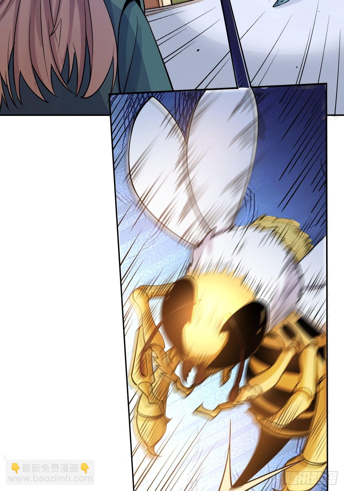 31.jpg