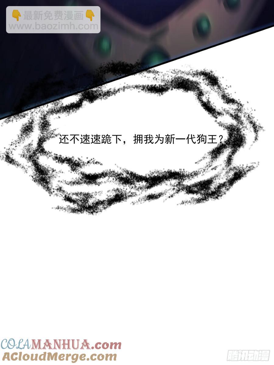 43.jpg