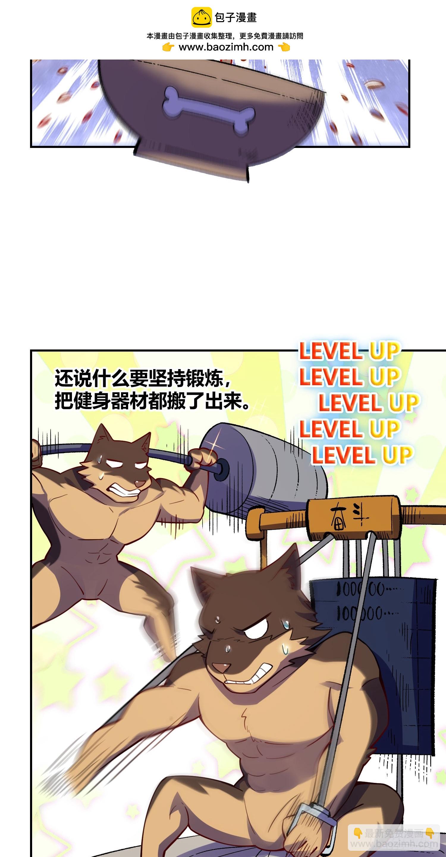 35.jpg