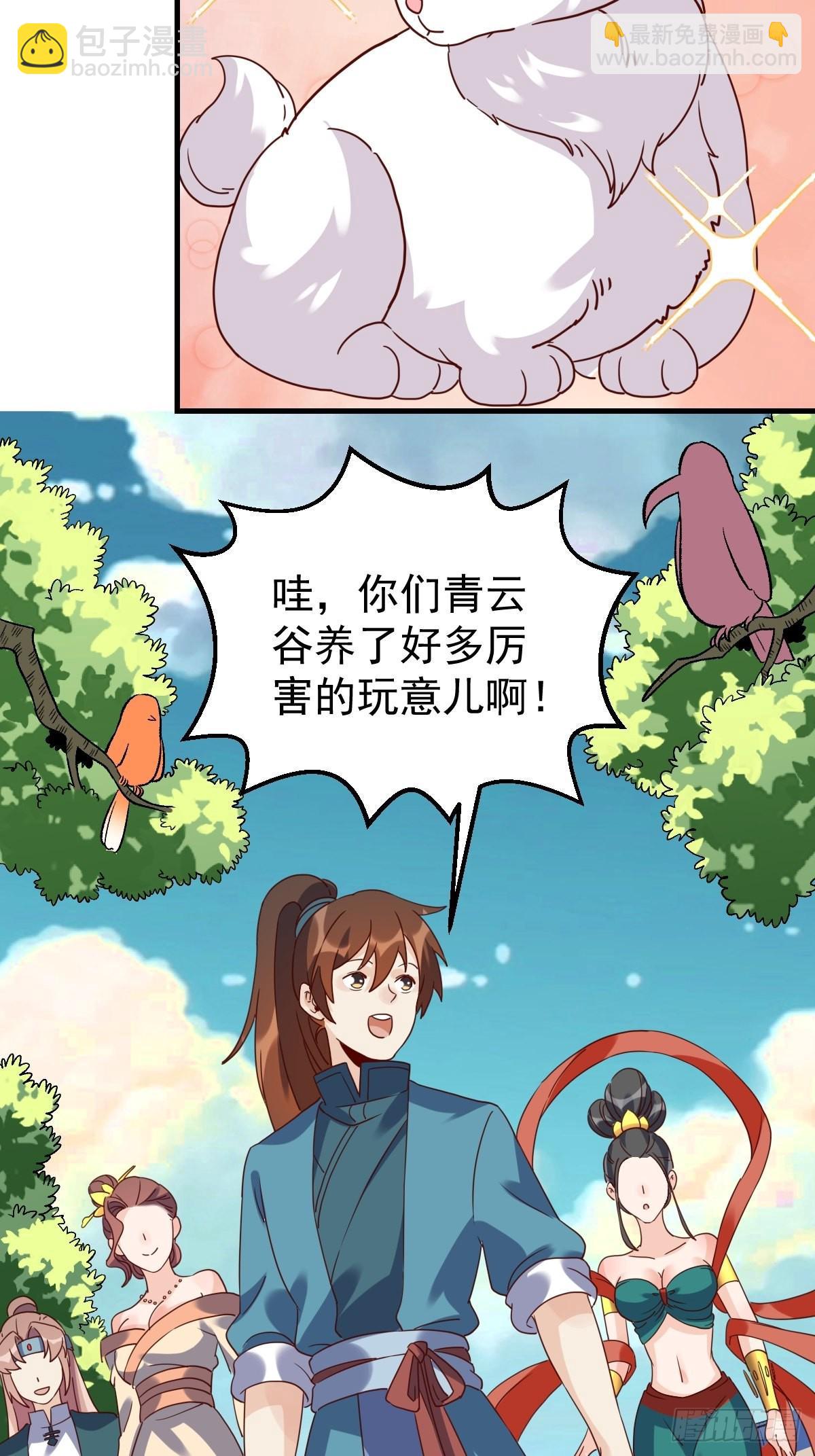 17.jpg
