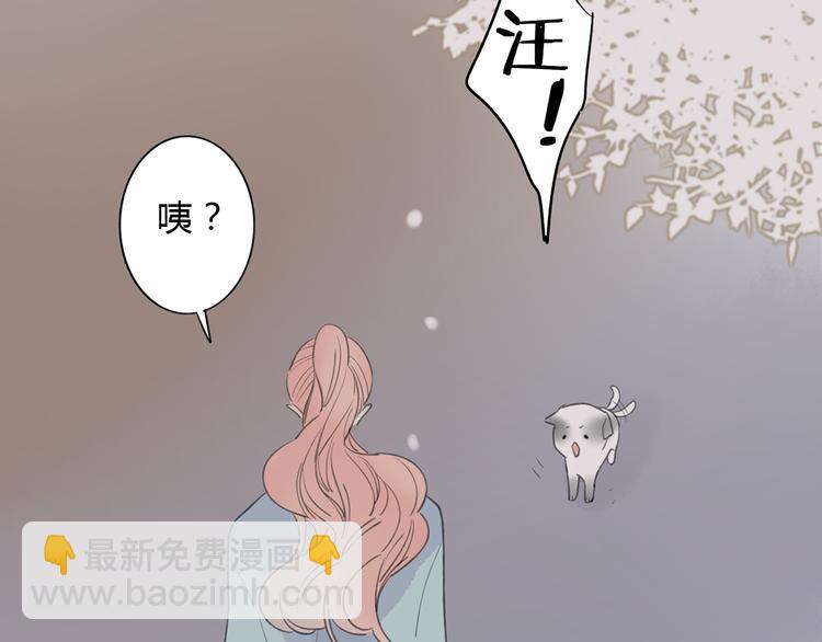 第42话 为了我舍弃性命也没关系吗(1/2)-第43话