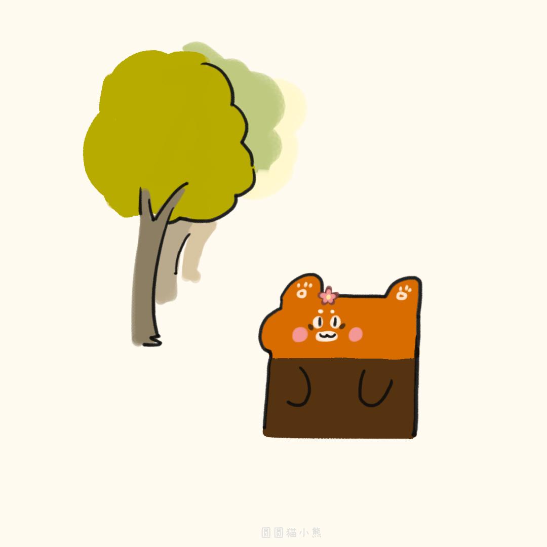 本熊生气了-第25话