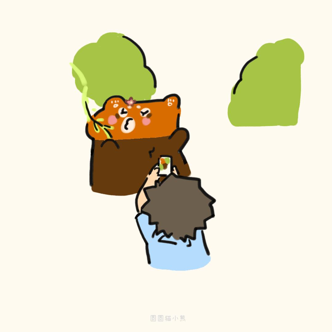 登记照片-第37话