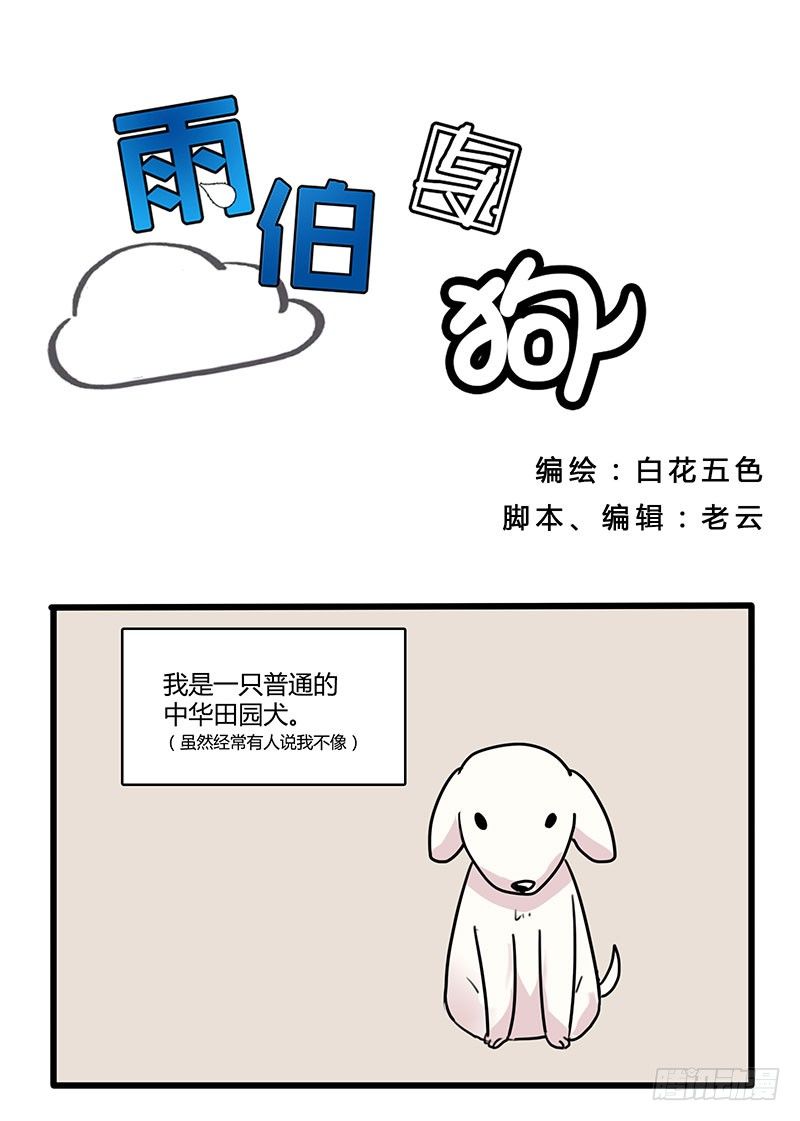 一只中华田园犬的控诉-第21话