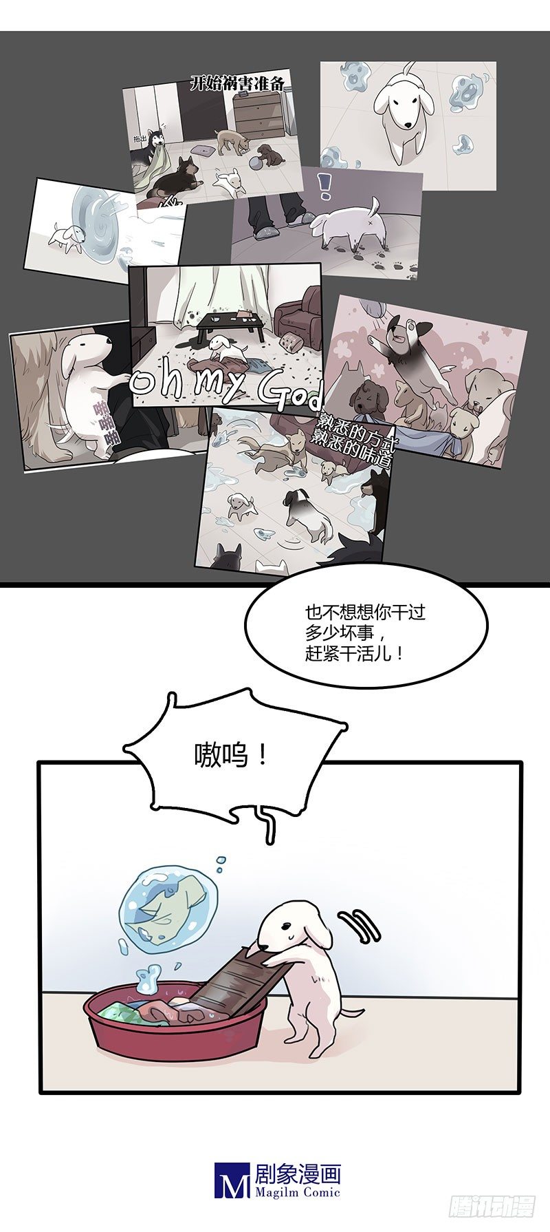 一只中华田园犬的控诉-第21话