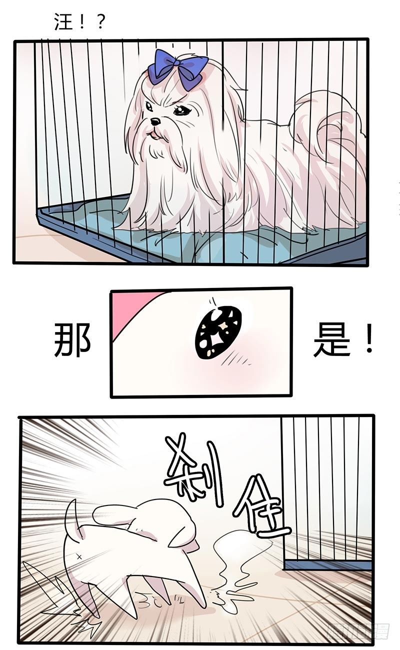 嘿嘿，你还好意思说我？-第25话