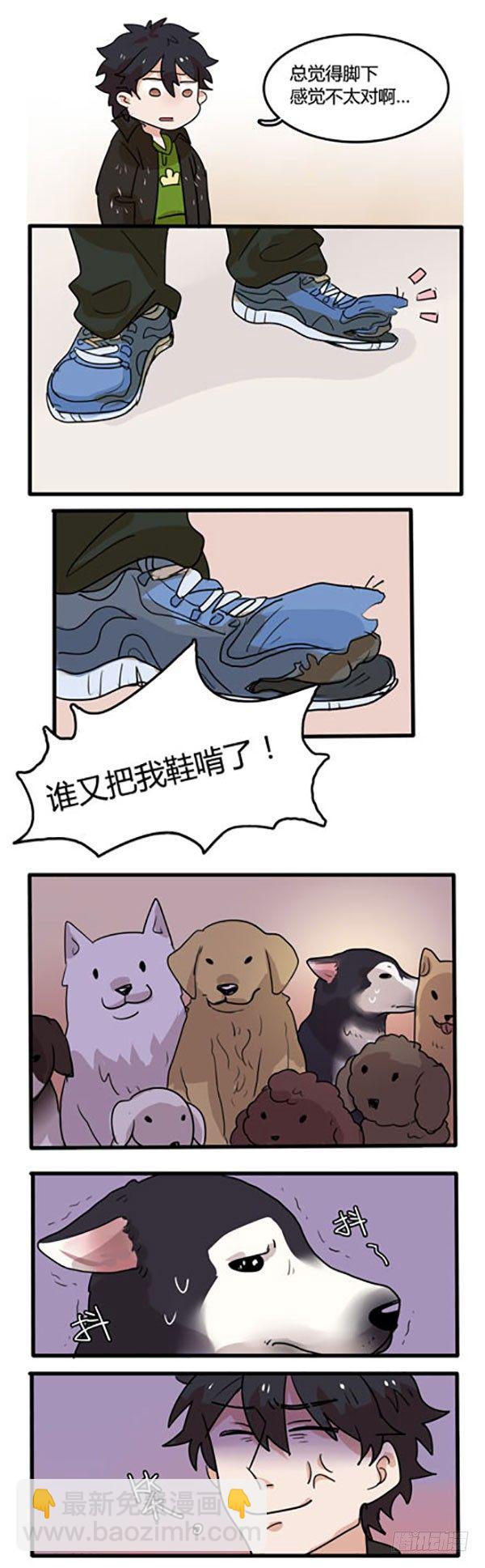 是谁说狗是人类的好朋友呢？-第9话