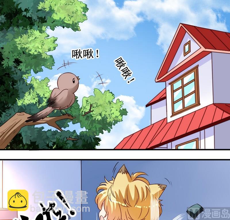 第11话 王喵要报复-第11话