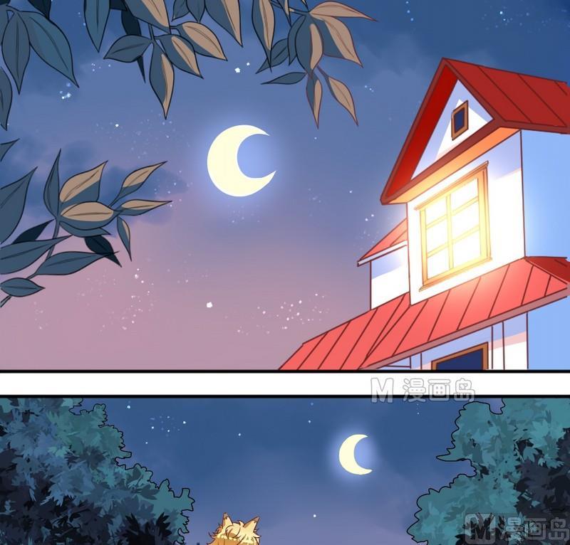 第11话 王喵要报复-第11话