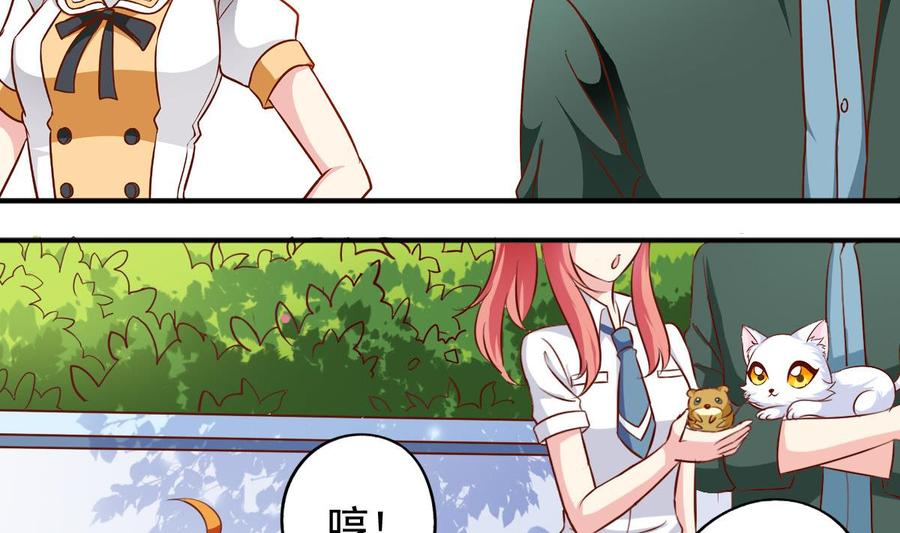 番外36 仓鼠跑了猫赖着了-第181话