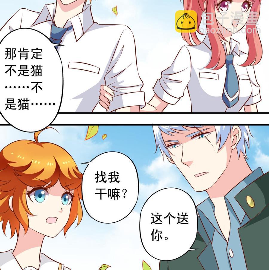 番外36 仓鼠跑了猫赖着了-第181话