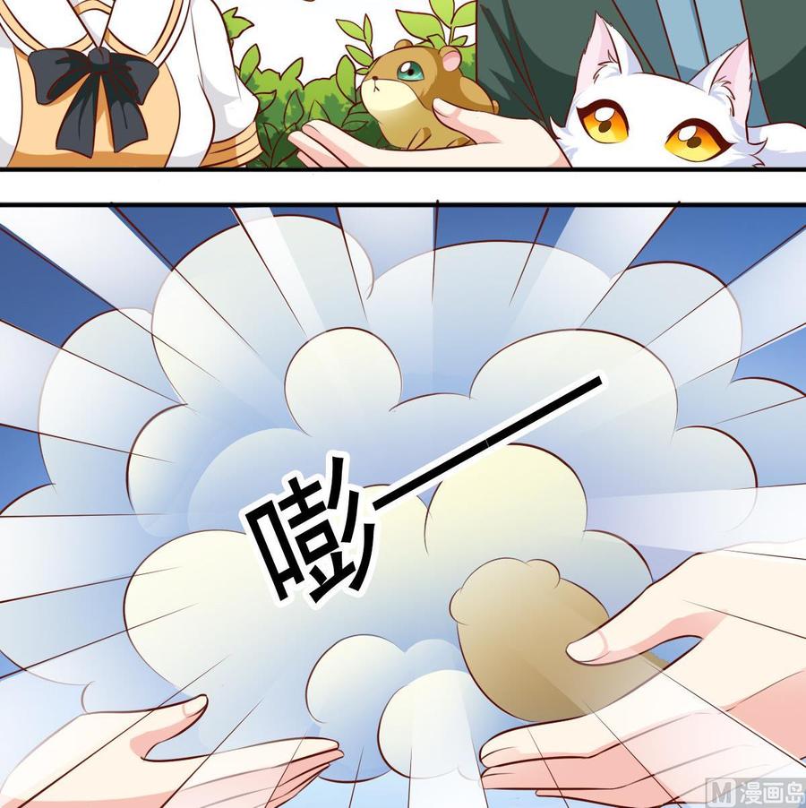 番外36 仓鼠跑了猫赖着了-第181话