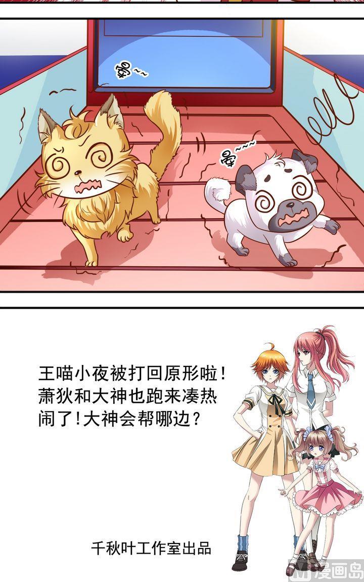 第60话 变成动物-第61话