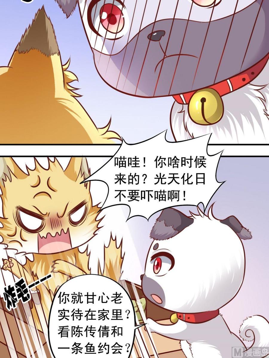 第70话 一见钟情-第71话