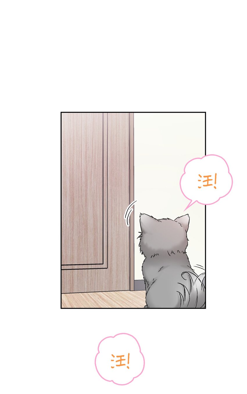 41 神奇的预感(1/2)-第41话