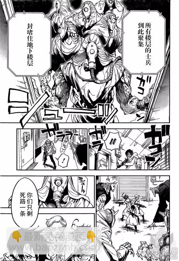 約定的夢幻島 - 第167話 - 1